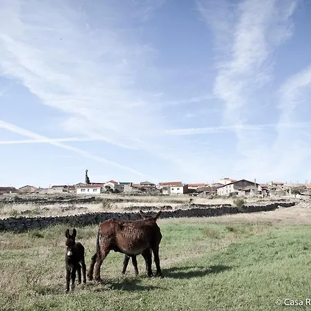 La Carrascala Zamora