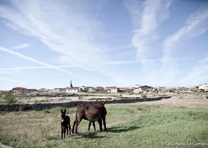 La Carrascala Zamora